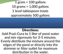 Cargar imagen en el visor de la galería, &lt;transcy&gt;PraziCura - 50g&lt;/transcy&gt;
